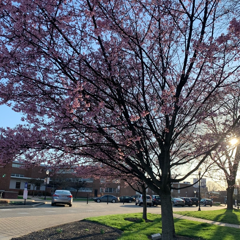 Meet your Posher, Eva